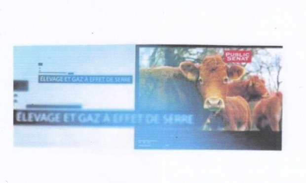 Petition : IMPACT de l'ELEVAGE sur le RECHAUFFEMENT CLIMATIQUE : Pour une INTERDICTION immédiate et totale de l'ELEVAGE industriel et INTENSIF et une REDUCTION drastique de l'ELEVAGE traditionnel des animaux
