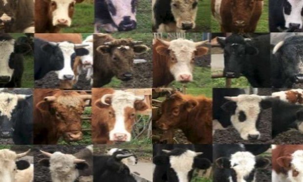 Petition : LA FERME DE L'HORREUR