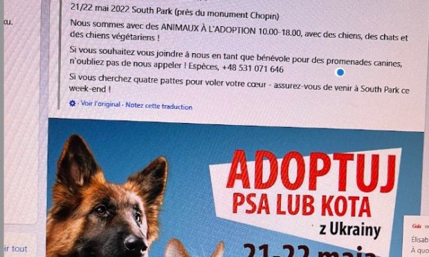 Petition : Justice pour les chiens martyrs du refuge de Borodyanka en Ukraine