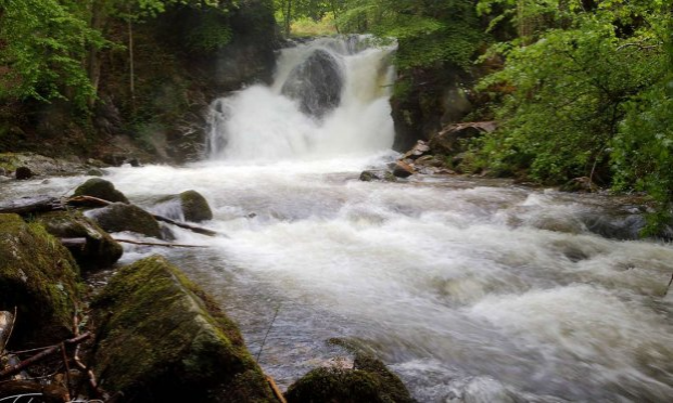 Petition : Laissons chanter la Credogne ! Non au projet privé de micro-centrale hydro-électrique!