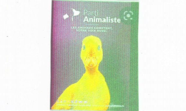 Petition : IMPACT de l'ELEVAGE sur le RECHAUFFEMENT CLIMATIQUE : Pour une INTERDICTION immédiate et totale de l'ELEVAGE industriel et INTENSIF et une REDUCTION drastique de l'ELEVAGE traditionnel des animaux