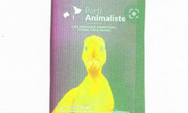 Petition : Pour l'interdiction des combats entre humains et animaux (ex: corrida) et des animaux entre eux