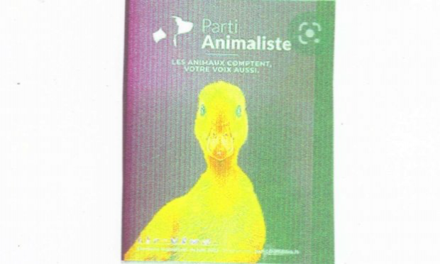 Petition : STOP à l'HYPOCRISIE, PLACE à la VERITE  ! SALON de l'AGRICULTURE = SALON de l'EGORGEMENT programmé de TOUS les ANIMAUX 