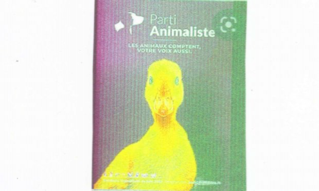 Petition : Appel au boycott de tous les produits d'origine animale : viande, charcuterie, oeufs, lait, poissons et fruits de mer et leurs dérives : si vous arrêtez d'acheter, on arrête de tuer !