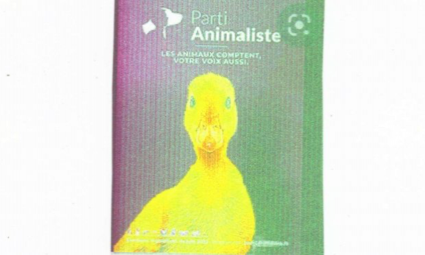 Petition : Stop à la barbarie ! Pour l'interdiction de tous les pièges à la glu quelles que soient les espèces concernées !