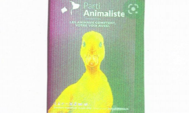Petition : Alerte abattoirs : Scandaleux : La vidéo-surveillance votée en janvier 2017 supprimée du PROJET de LOI actuel  ! Mobilisons-nous  et AGISSONS  !