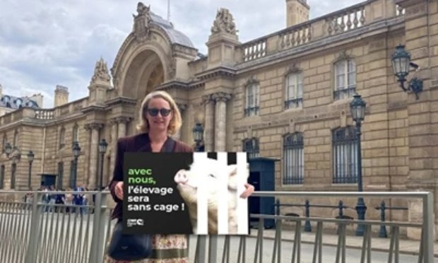 Petition : Avec nous, l'élevage sera sans cage !