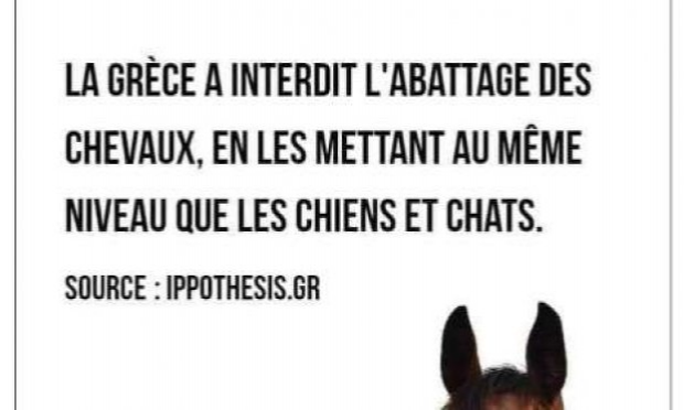 Petition : Pour que le cheval obtienne le statut d'animal de compagnie et par conséquent ne soit plus destiné aux abattoirs.