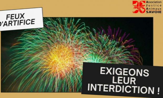 Petition : Les feux d'artifice, source de stress, de pollution et de mort de nombreux animaux, INTERDISONS LES !