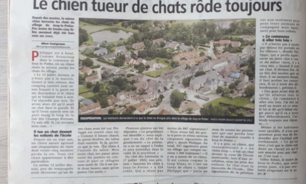 Petition : Sauvons les chats à Jouy le Potier !