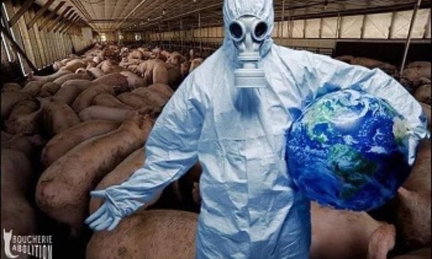 Petition : Défis environnementaux, sanitaires, torture animale : végétalisons notre alimentation.