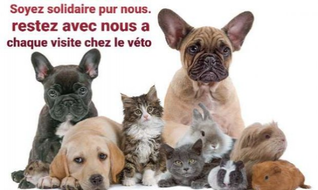 Petition : Rester auprès de son animal dans les cliniques la nuit