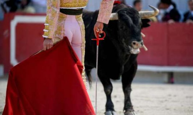 Petition : Pour l'interdiction des écoles privées de tauromachie en France