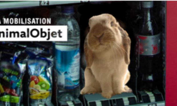 Petition : INTERDIRE LA VENTE D’ANIMAUX CHEZ NOA ANIMALERIE