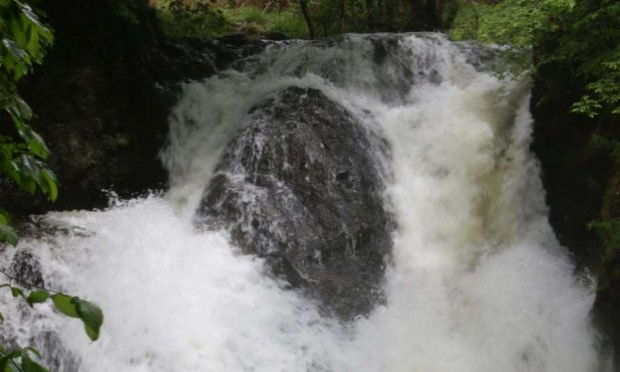 Petition : Laissons chanter la Credogne ! Non au projet privé de micro-centrale hydro-électrique!