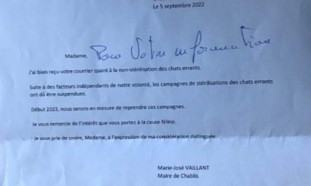 Petition : Stop à la non stérilisation des chats errants de Chablis !