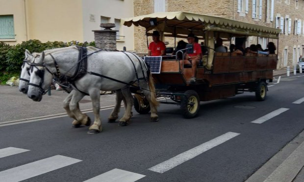 Petition : STOP aux calèches tirées par des chevaux à Bourg-en-Bresse !