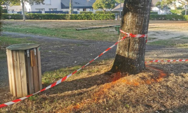 Petition : Pour la préservation d’un des derniers espaces verts de Thouaré-Sur-Loire !