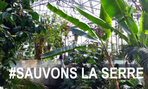 Petition : Sauvons la grande serre du jardin des plantes !