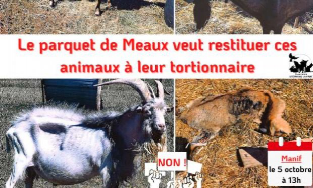Petition : Pour un changement de Magistrat chargé des affaires de protection animale au Parquet de MEAUX (77)