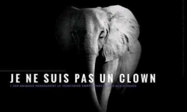 Petition : En marche vers une évolution radicale des droits des animaux en France