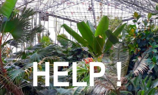 Petition : Sauvons la grande serre du jardin des plantes !