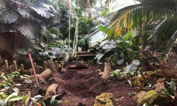 Petition : Sauvons la grande serre du jardin des plantes !