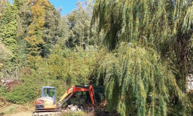 Petition : STOP à la destruction programmée du parc boisé de Bellevue