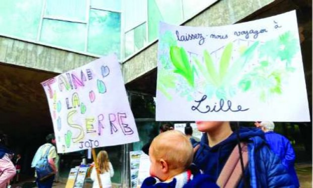 Petition : Sauvons la grande serre du jardin des plantes !