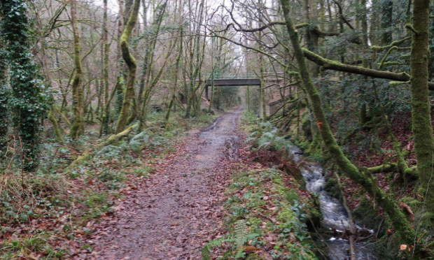 Petition : Ni véloroute, ni voie verte entre Riec-sur-Bélon et Moëlan-sur-Mer, oui aux sols naturels !