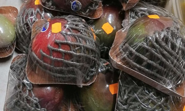Petition : Stop aux emballages plastiques qui polluent les océans, l'air, les sols. Il faut y mettre fin, MAINTENANT