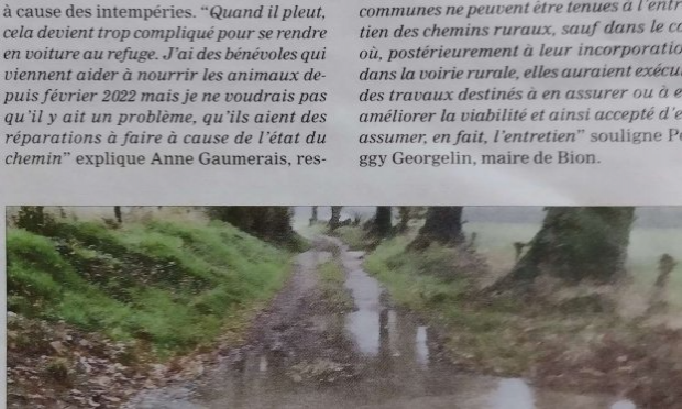 Petition : Aidez-moi à rendre accessible le chemin de mon refuge pour animaux SVP !
