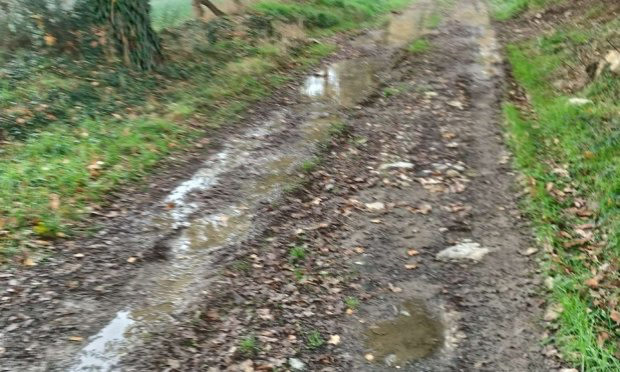 Petition : Aidez-moi à rendre accessible le chemin de mon refuge pour animaux SVP !