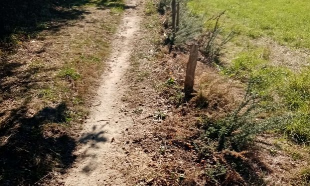 Petition : Aidez-moi à rendre accessible le chemin de mon refuge pour animaux SVP !