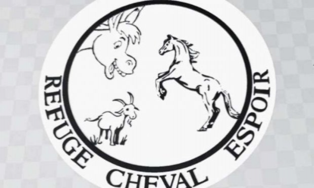 Petition : Aidez-moi à rendre accessible le chemin de mon refuge pour animaux SVP !