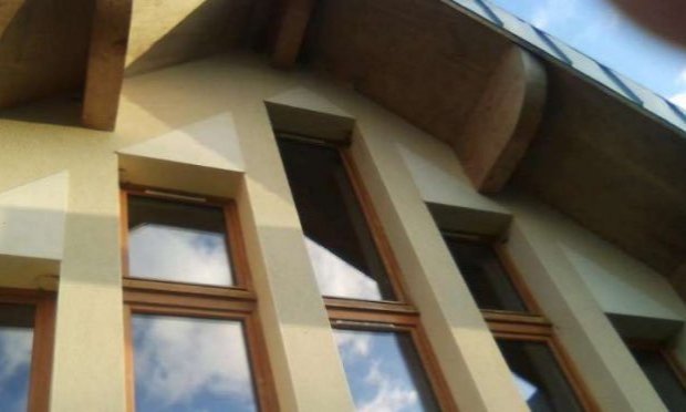 Petition : LAISSEZ LES HIRONDELLES RECONSTRUIRE LEURS NIDS