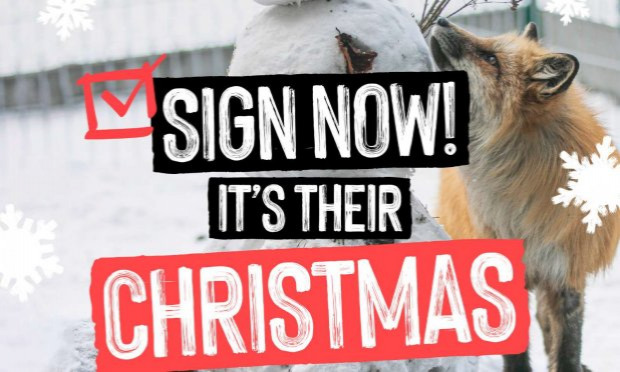 Petition : Interdiction des ventes de fourrures animales à Paris