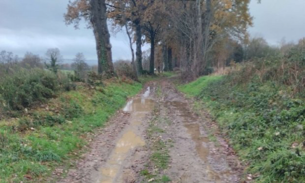 Petition : Aidez-moi à rendre accessible le chemin de mon refuge pour animaux SVP !