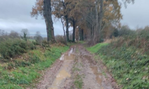 Petition : Aidez-moi à rendre accessible le chemin de mon refuge pour animaux SVP !