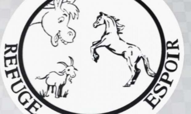 Petition : Aidez-moi à rendre accessible le chemin de mon refuge pour animaux SVP !