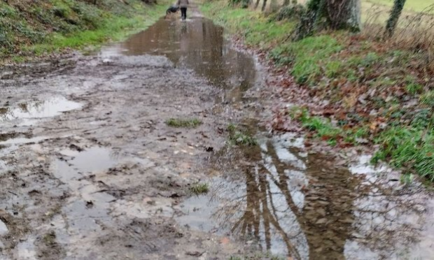 Petition : Aidez-moi à rendre accessible le chemin de mon refuge pour animaux SVP !