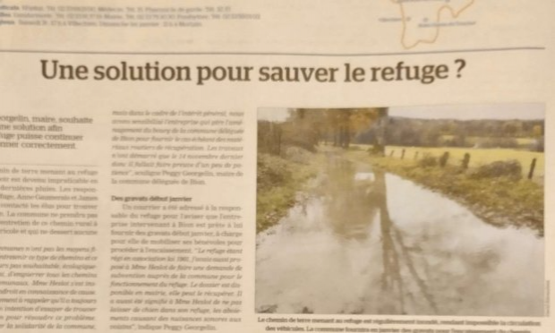 Petition : Aidez-moi à rendre accessible le chemin de mon refuge pour animaux SVP !