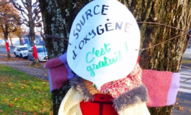 Petition : Stop au massacre des arbres et des sols au Pays Sabolien