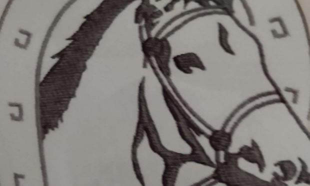 Petition : Aidez-moi à rendre accessible le chemin de mon refuge pour animaux SVP !