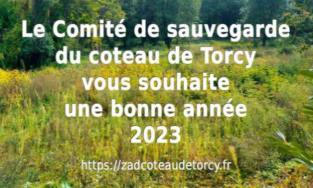 Petition : Sauvegardons le coteau de Torcy