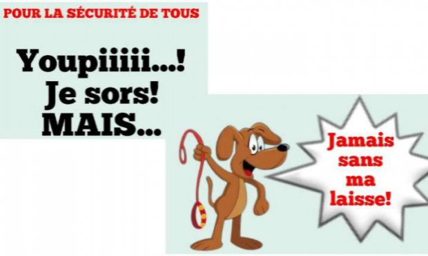 Petition : Stop aux chiens non tenus en laisse sur le domaine public !