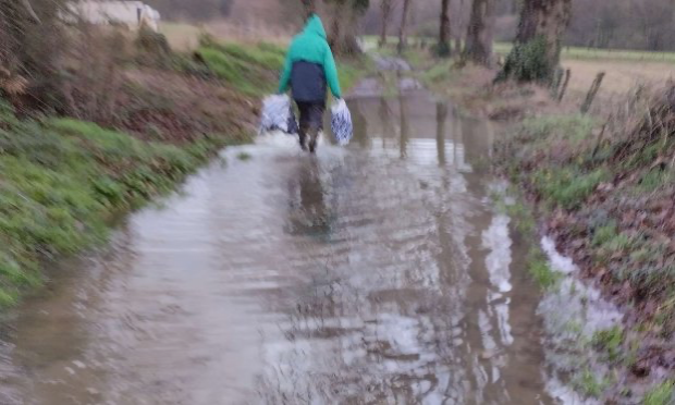 Petition : Aidez-moi à rendre accessible le chemin de mon refuge pour animaux SVP !