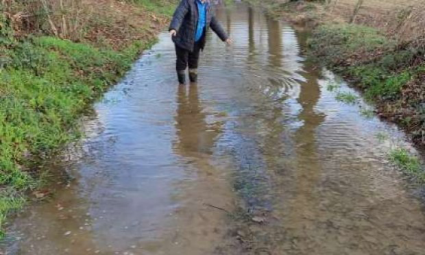 Petition : Aidez-moi à rendre accessible le chemin de mon refuge pour animaux SVP !