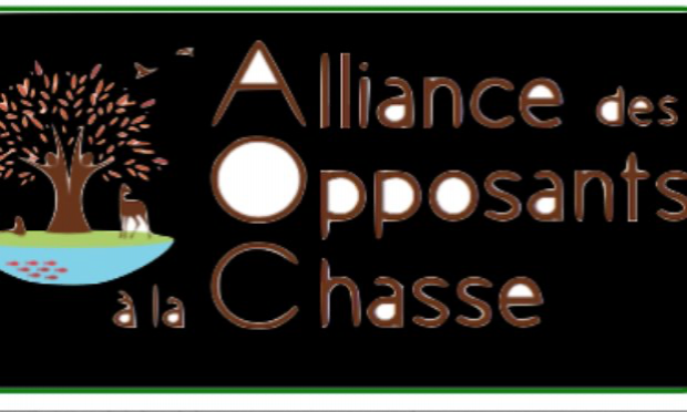 Petition : Pas de chasse sur les chemins et à moins de 150m de ceux-ci !