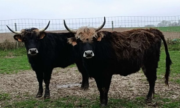 Petition : Urgent : Aidez-nous à sauver le parc animalier La Ligule !